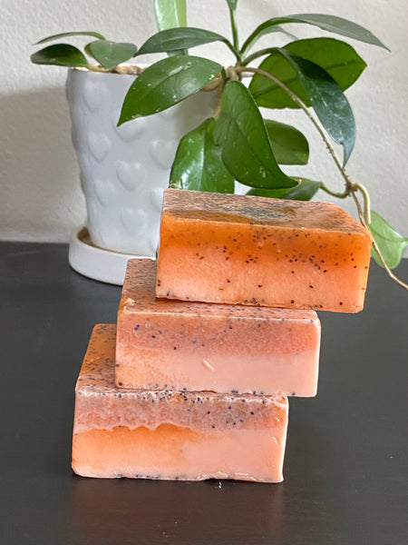 Island On My Feet Exfoliating Bar Soap